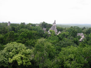 Amérique Centrale, Guatemala, Tikal, pyramides depassant de la canopee