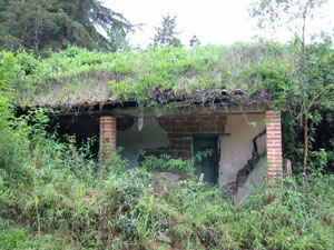 Amérique Centrale, Nicaragua, maison abandonnee avec vegetation envahisssante