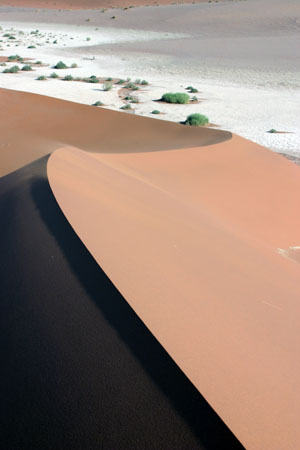dunes de sable de sossusvlei