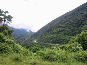 Bolivie, Cochabamba, Chapare, une route qui longe une colline verte tropicale