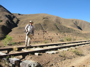 Bolivia, Sivingani, paisaje de montana con Vince