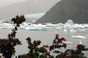 Laguna et glacier Onelli