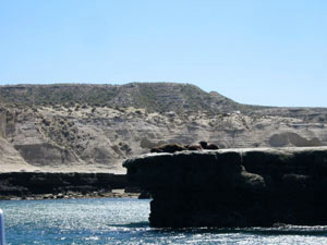 Argentine, Patagonie, Peninsula Valdes, phoques dormant sur un rocher emergeant de l'eau