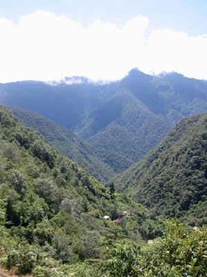 valle verde de los yungas