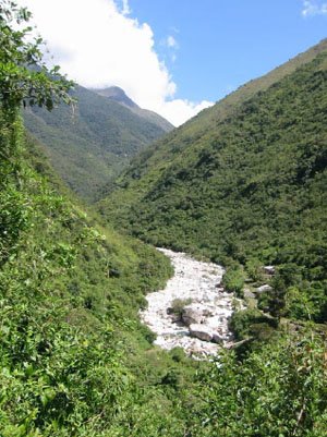 Bolivie, Camino del inca del choro, rio qui serpente entre deux collines des yungas boliviens