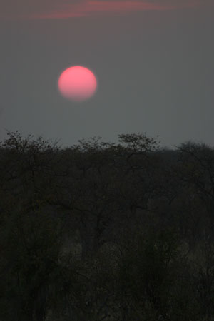 coucher de soleil sur la savane d'Etosha