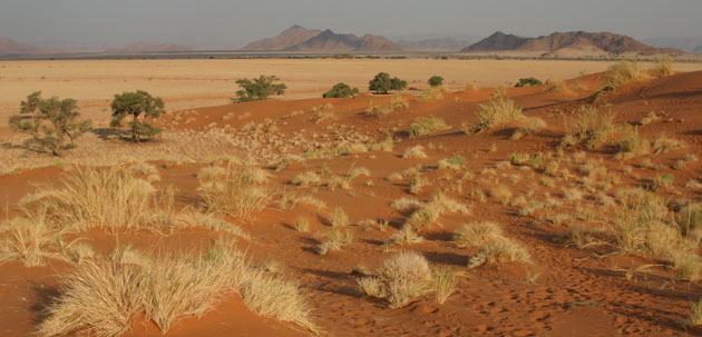Paysage desertique du namib en namibie