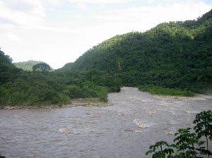 Bolivie, Cochabamba, Chapare, fleuve au milieu de la jungle