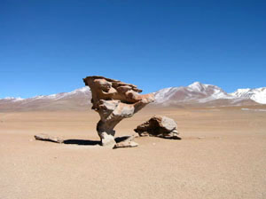 Bolivie, Sud Lipez, el arbol de piedra