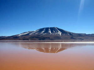 Bolivie, Sud Lipez, laguna colorada