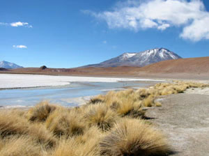 Bolivie, Sud Lipez, laguna hedionda